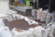 Fiber Optik Cempaka putih