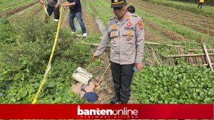 IMG-20251013-WA0089-300x169 Pemburu Kodok Warga Walantaka Serang Tewas Tersengat Listrik di Pesawahan Koroncong
