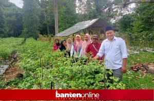 IMG_20260128_161610-300x198 BUMDes Maju Bersama Kembangkan Cabai ORI 212, Targerkan PADes Jutaan Rupiah