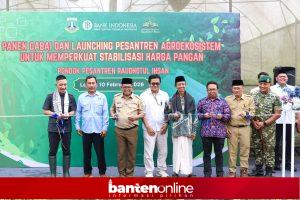 IMG-20260210-WA0090-300x200 Pesantren di Lebak Budidayakan Cabai, Gubernur Andra Soni Dorong Replikasi