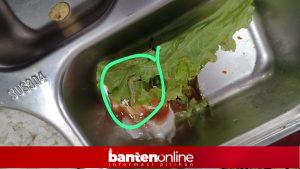 IMG-20260212-WA0033-300x169 Viral Pemberian MBG di SDN 4 Pandeglang Diduga Dipenuhi Ulat Sayur, Lemah Pengawasan?