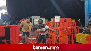 IMG-20260403-WA0045-300x170 Ikan Cumi dari Panimbang Siap Ekspor, Ini Kata Encep Wa’as?