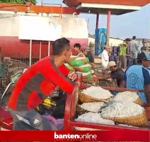 IMG-20260506-WA0051-300x285 Nelayan Panimbang Panen Ikan, Koperasi Putra Lautan Tancap Gas Bidik Ekspor