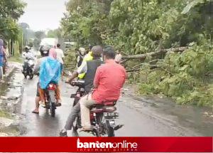 IMG-20260514-WA0071-300x215 Pohon Tumbang Timpa 2 Motor di Alun-alun Pandeglang Saat Hujan Es