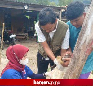 IMG-20260519-WA0105-300x276 Distan Awasi 1.808 Lapak Hewan Kurban di Banten