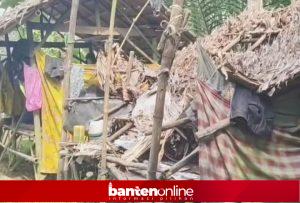IMG-20260523-WA0068-300x203 Miris! Lansia di Pandeglang Tinggal di Saung Samping Kandang Kerbau
