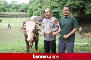 IMG-20260525-WA0019-300x200 Jelang Idul Adha, Polda Banten Salurkan Puluhan Hewan Kurban kepada Masyarakat 