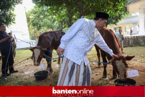 IMG-20260527-WA0051-300x200 Wagub Banten Pastikan Hewan Kurban ASN Sehat, Ribuan Lapak Dipantau