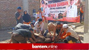 IMG-20260528-WA0023-300x169 DPD PKS Pandeglang Sembelih 21 Sapi dan 42 Kambing pada Idul Adha 1447 H