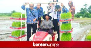 IMG_20260521_091600-300x160 Distan Banten Mulai Uji Coba Tanam Padi Gunakan Rice Transplanter Brigade