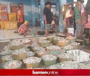 IMG-20260617-WA0011-300x253 Koperasi Putra Lautan Pandeglang Siap Ekspor Hasil Tangkapan Nelayan ke Arab Saudi