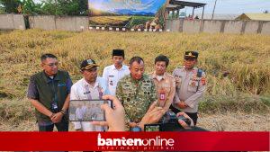 IMG-20260719-WA0066-300x169 Panen Raya Serentak 2026, Banten Perkuat Komitmen Wujudkan Swasembada Pangan Nasional