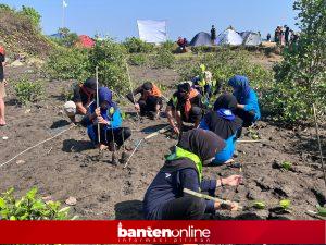 IMG-20260726-WA0056-300x225 Mangrove Camp Vol. 3 Tanam 1.000 Bibit di Pandeglang, Bangun Kesadaran Jaga Lingkungan